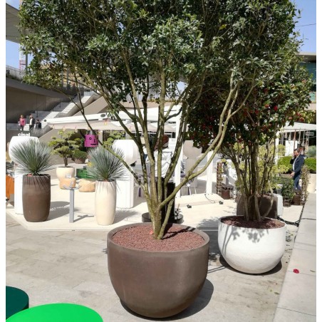 Vaso in terracotta  Meteora - Laboratorio San Rocco
