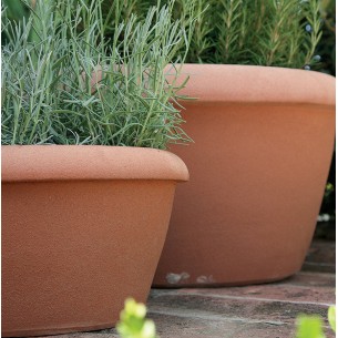 Vaso in terracotta  Edeka - Laboratorio San Rocco