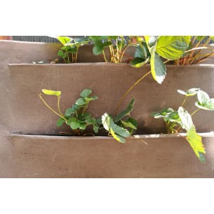 Vaso in terracotta  Ortovaso Biattico - Laboratorio San Rocco 2