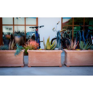 Vaso in terracotta  Cassetta Liscia Atlas - Laboratorio San Rocco 2