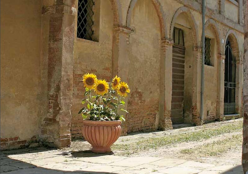 Aggiornamento Catalogo 2019